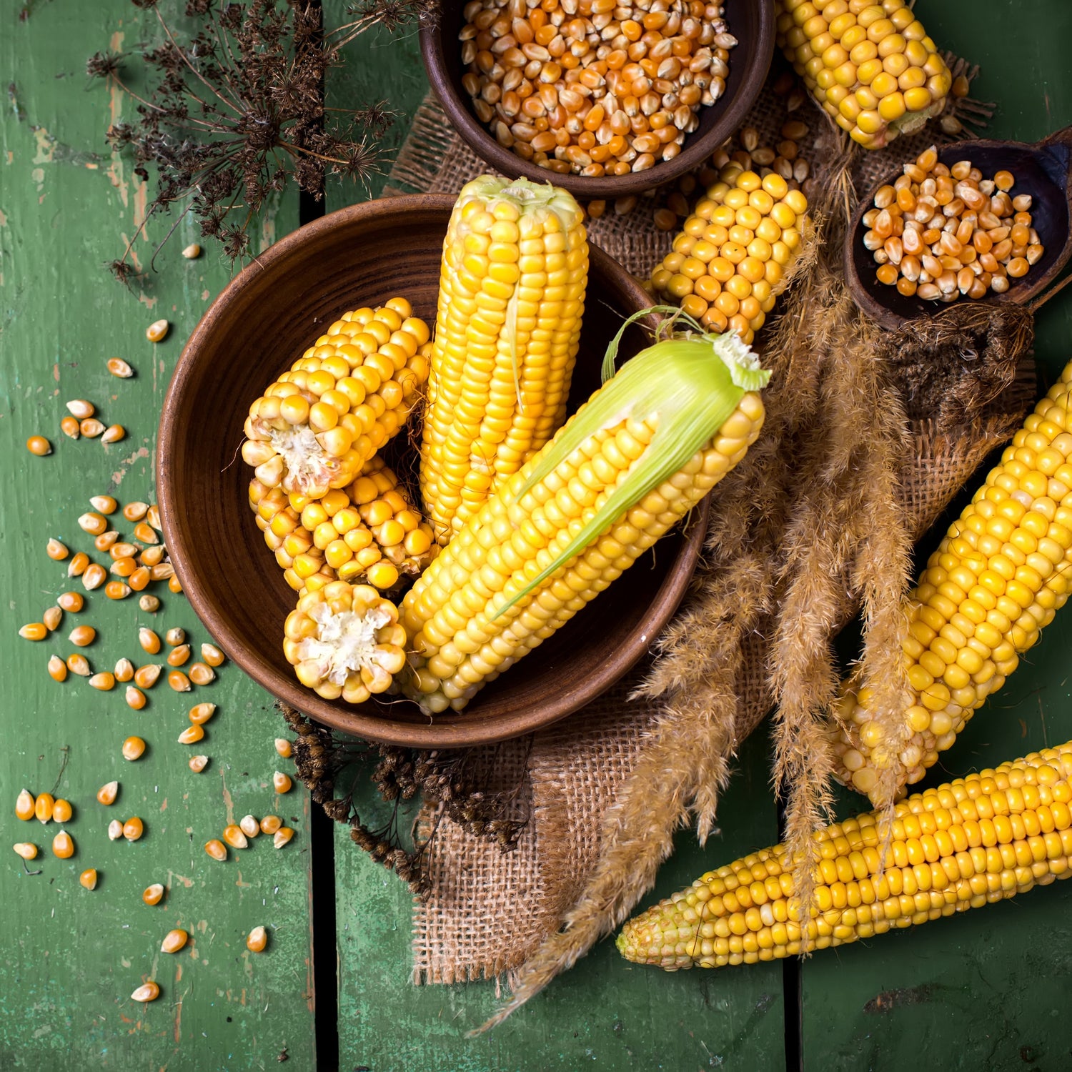 Corn Seeds (Heirloom)