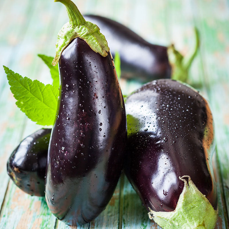 Eggplant Seeds (Heirloom)