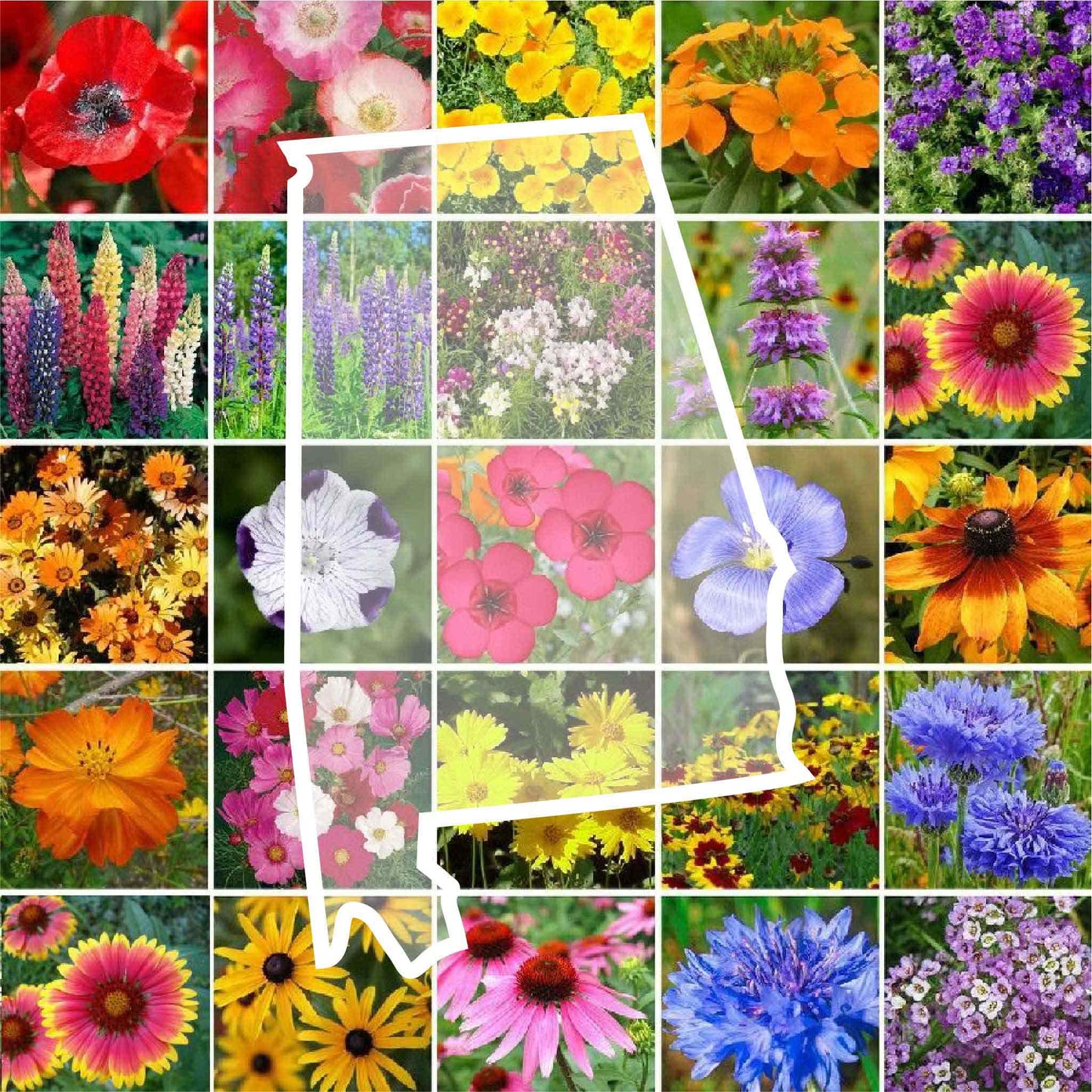 alabama wildflower seed mix