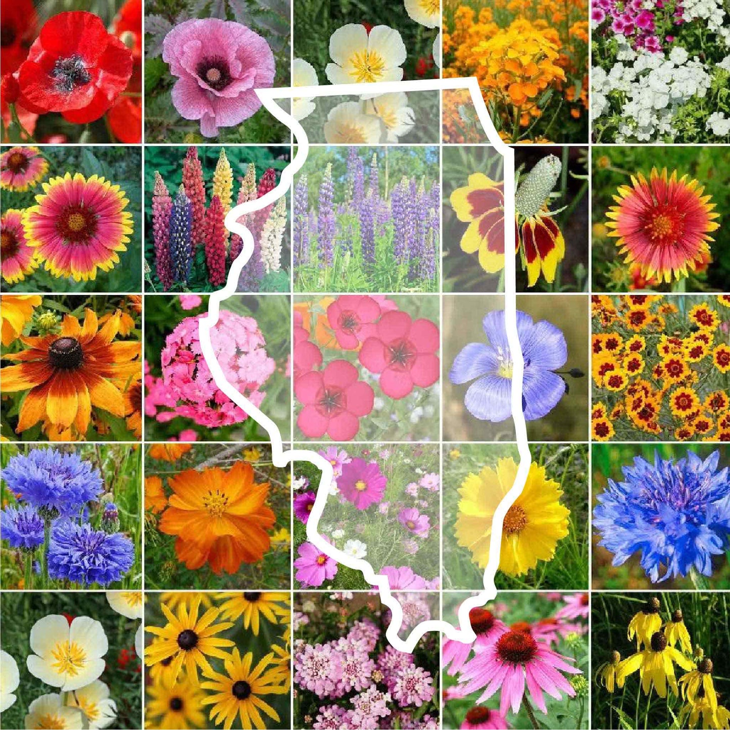 illinois wildflower seed mix