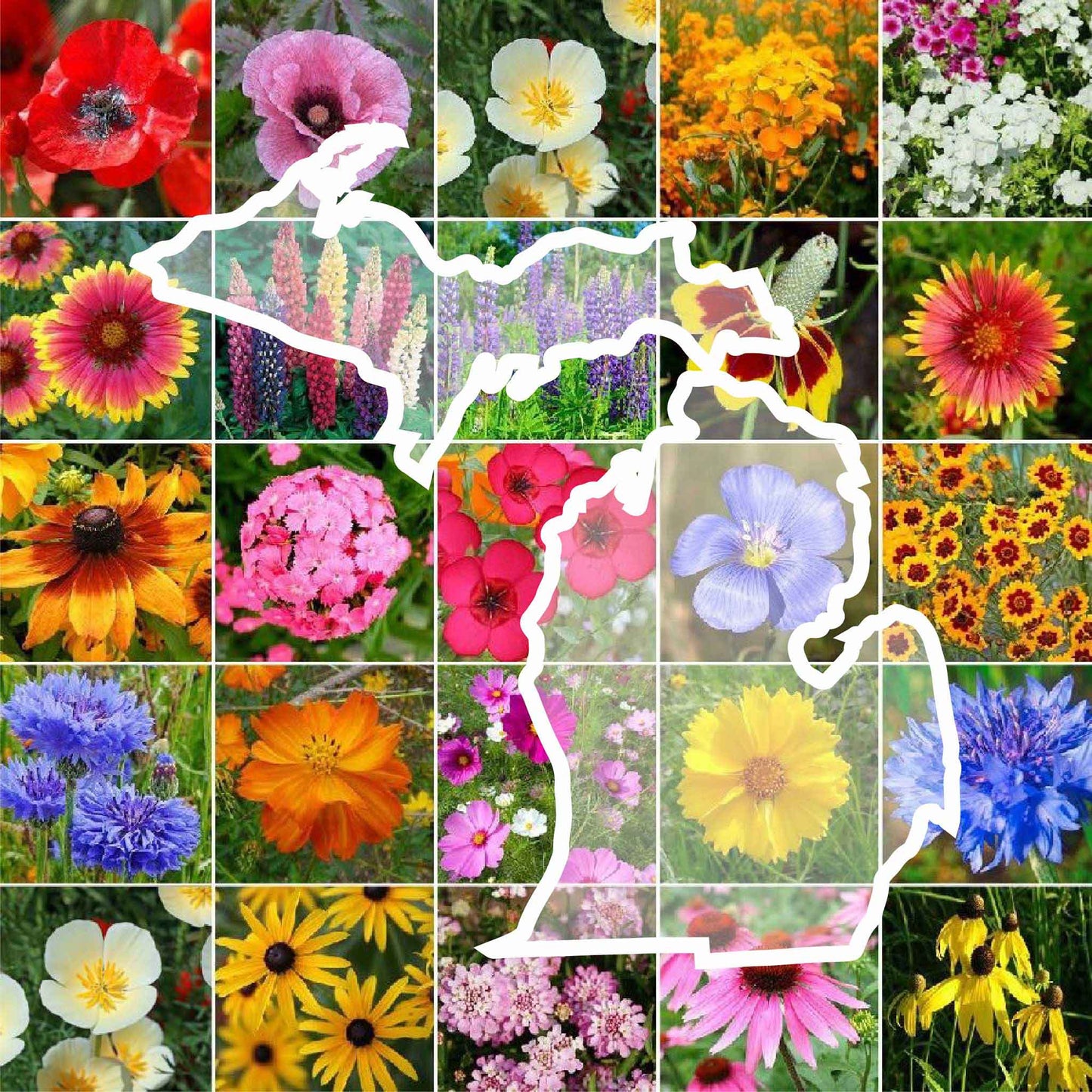 michigan wildflower seed mix