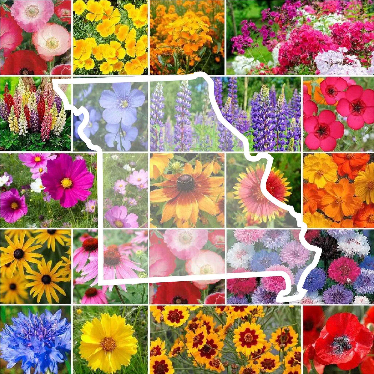 missouri wildflower seed mix