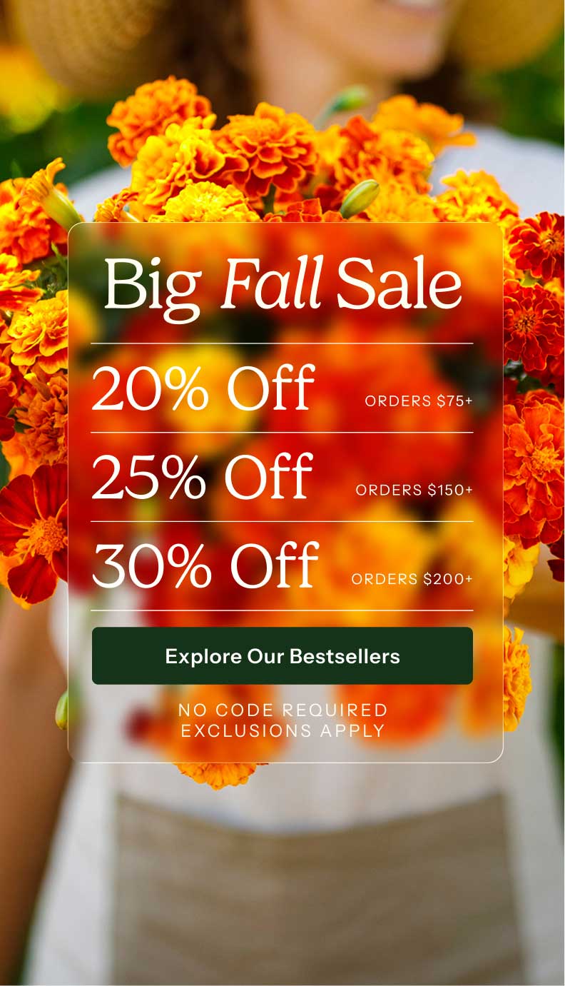Big Fall Sale 20% off orders $75+ 25% off orders $150+ 30% off orders 200+
