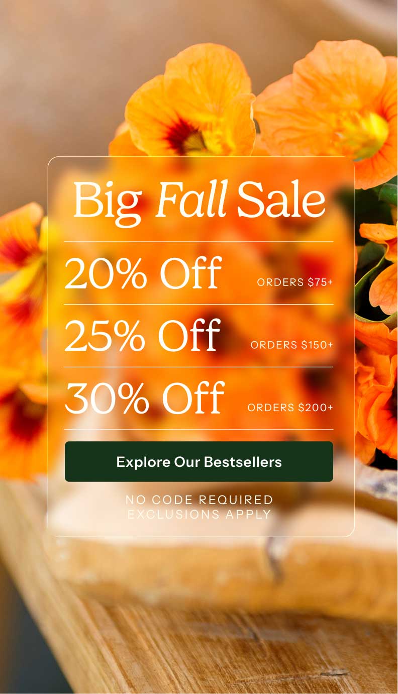 Big Fall Sale 20% off orders $75+ 25% off orders $150+ 30% off orders 200+