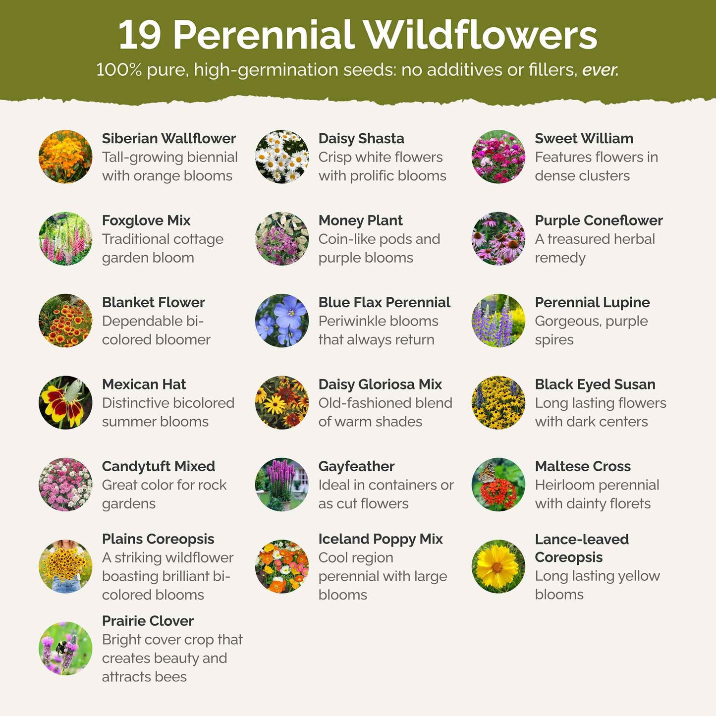 all perennial mix contents