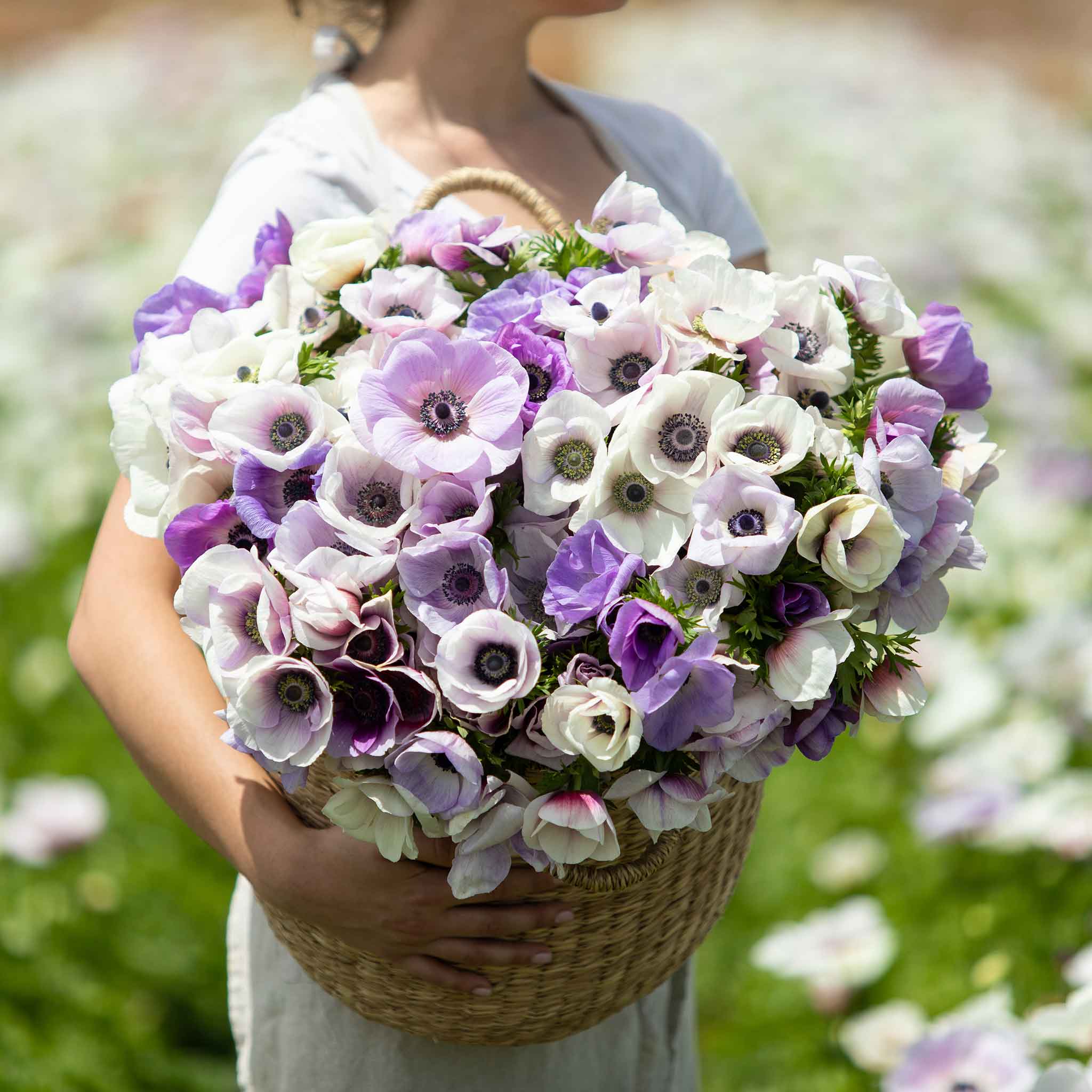 Purple Flower & Herb Wedding Bouquet - Dried Flowers Forever