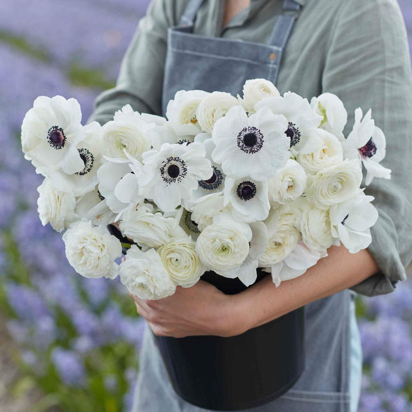 anemone and ranunculus moonlight mix