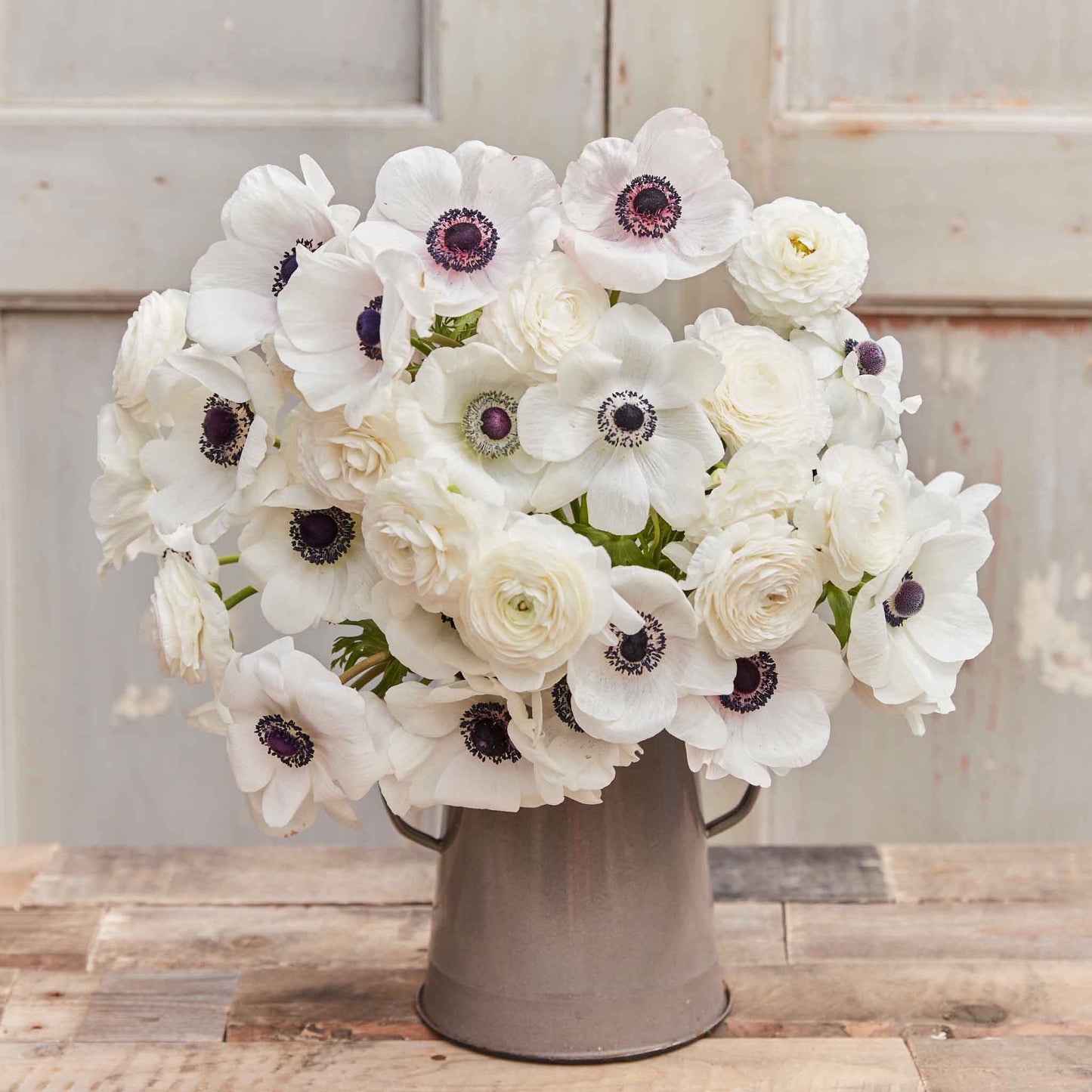 anemone and ranunculus moonlight mix