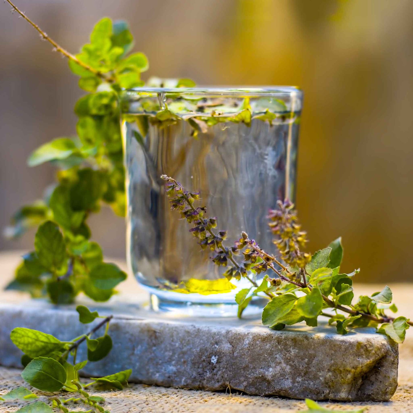 A close-up shot of small, brown basil seeds on a textured surface, steeped in tea.