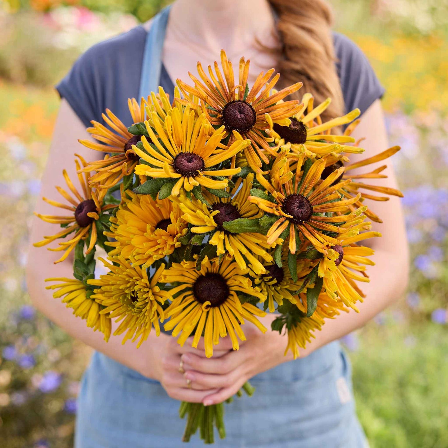 Person holding a bouquet of black eyed susan Chim Chiminee in a field