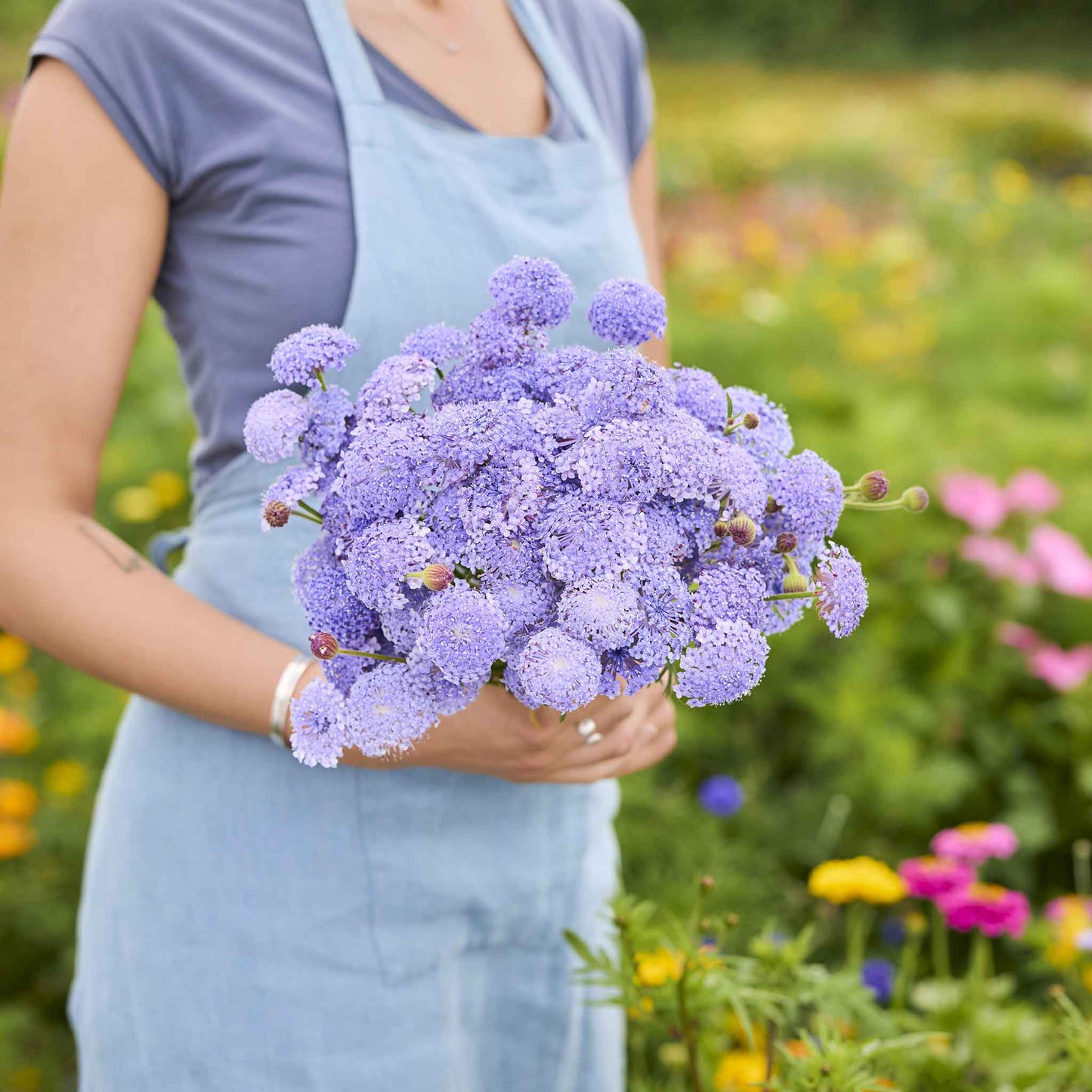 Person holding a bouquet of blue lace lavender blue flowers in a garden setting