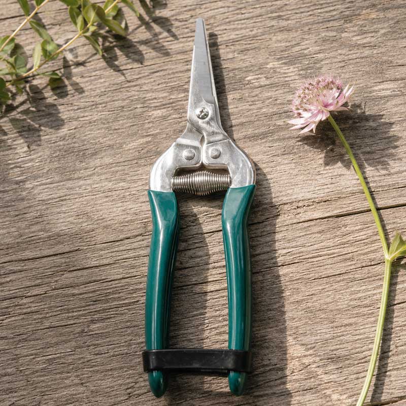 Green handled burgon and ball flower and fruit snips shown on a wooden background