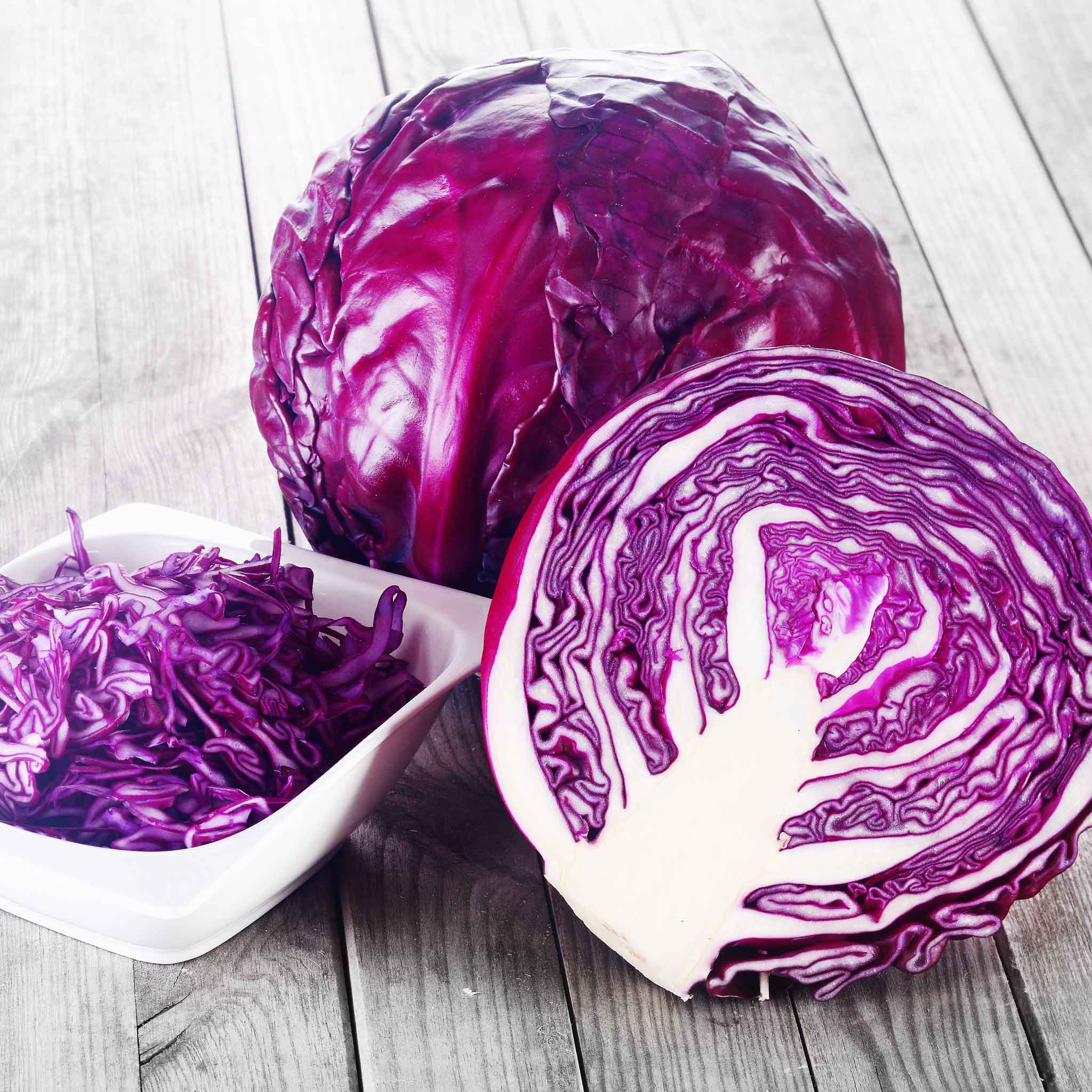 Brassica, Cabbage 'Red Acre' Heirloom Brassica, Cabbage 'Red Acre' Heirloom