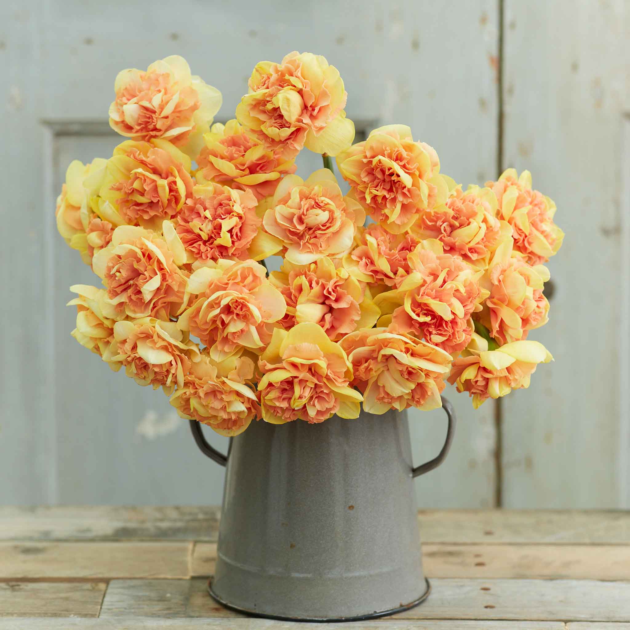 daffodil eggs benedict