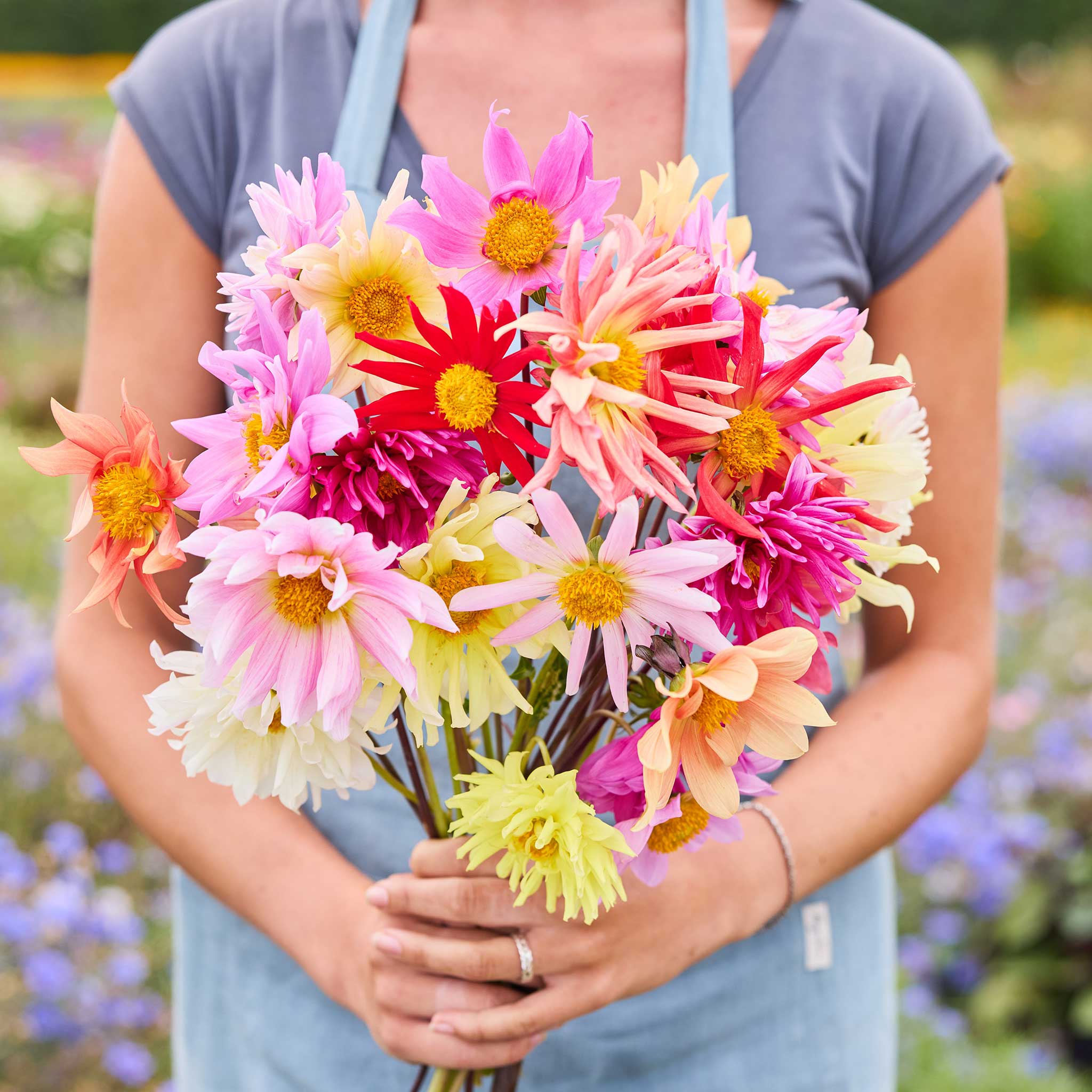 置物 SEPTEMBER MIXED FLOWERS Premium Summer Flowers Mix – Gourmet Sweet Botanicals