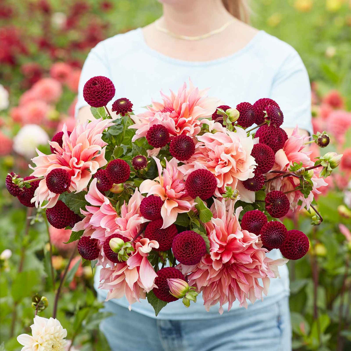 dahlia happy hour duo