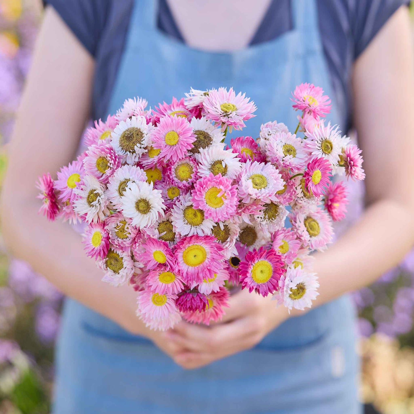 Person holding a bouquet of pink and white paper daisy giant mix flowers with a blurred background