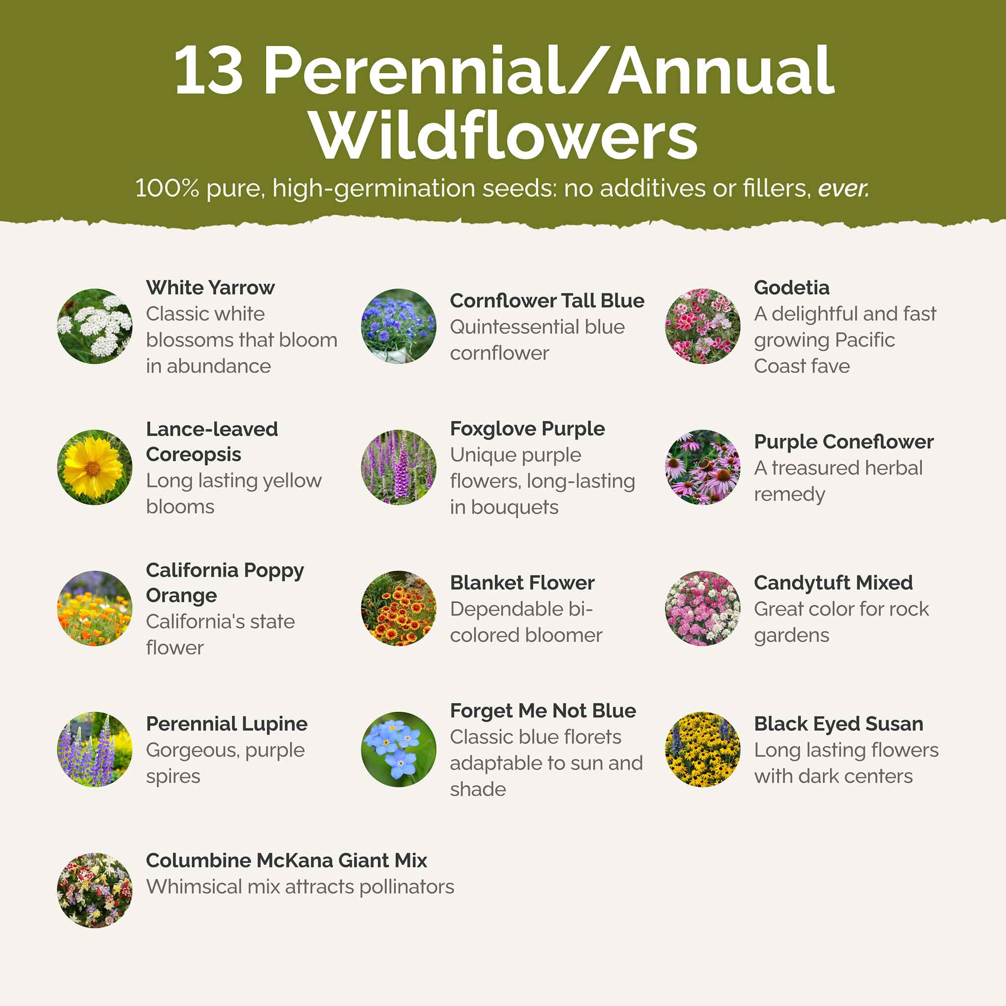 deer resistant contents