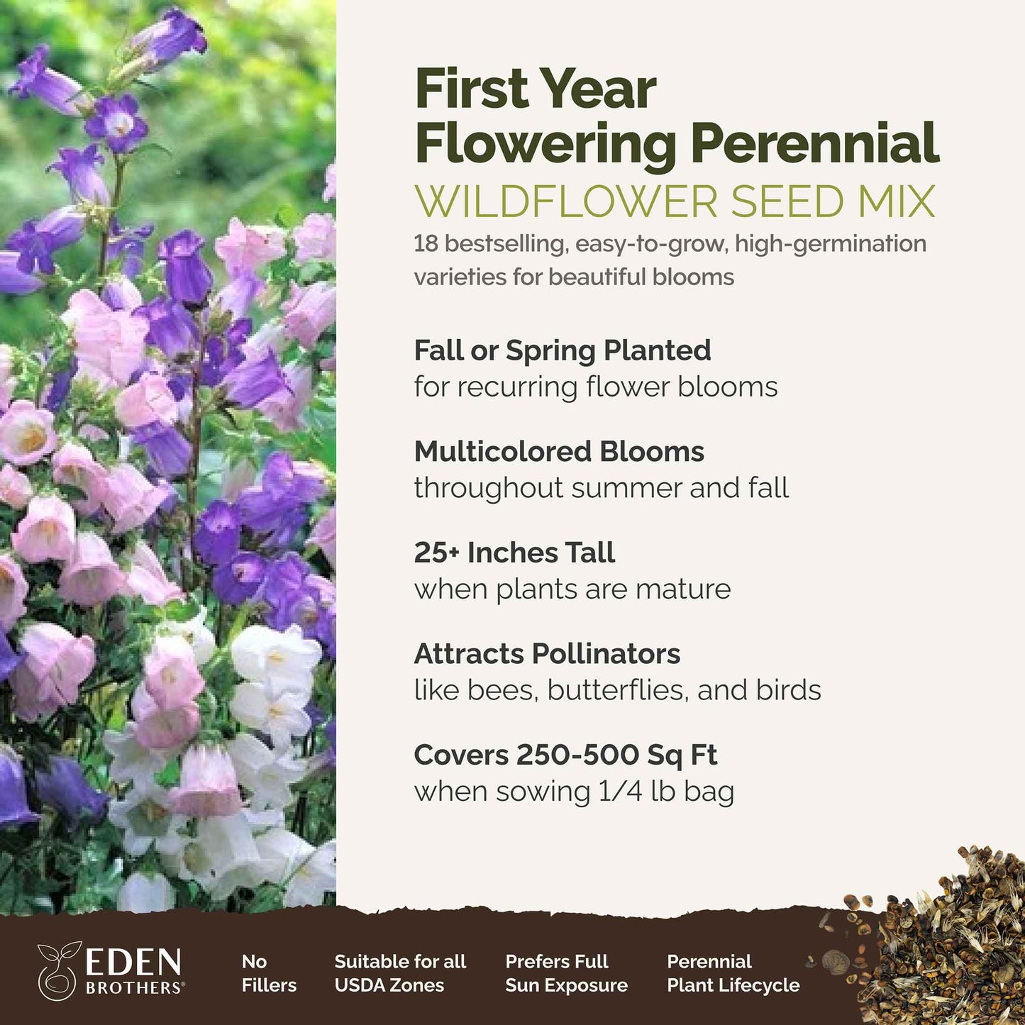first year flowering perennial overview