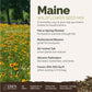 maine overview