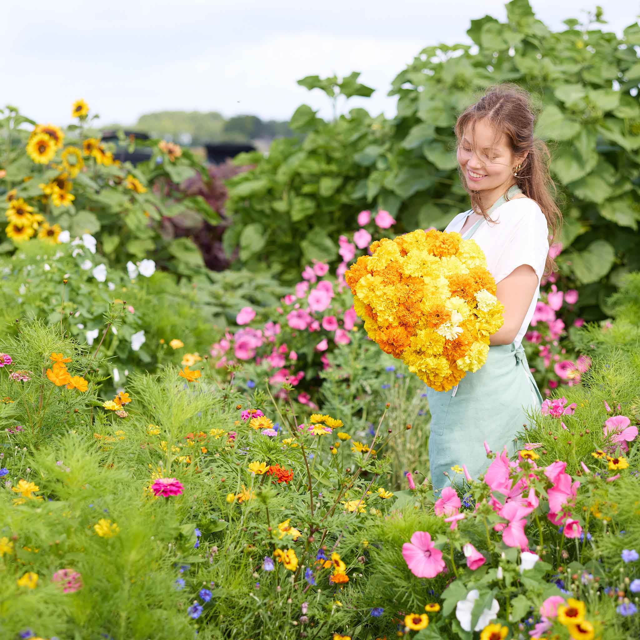 Woman holding a bundle of yellow and orange crackerjack mix marigold flowers in a garden filled with colorful flowers.