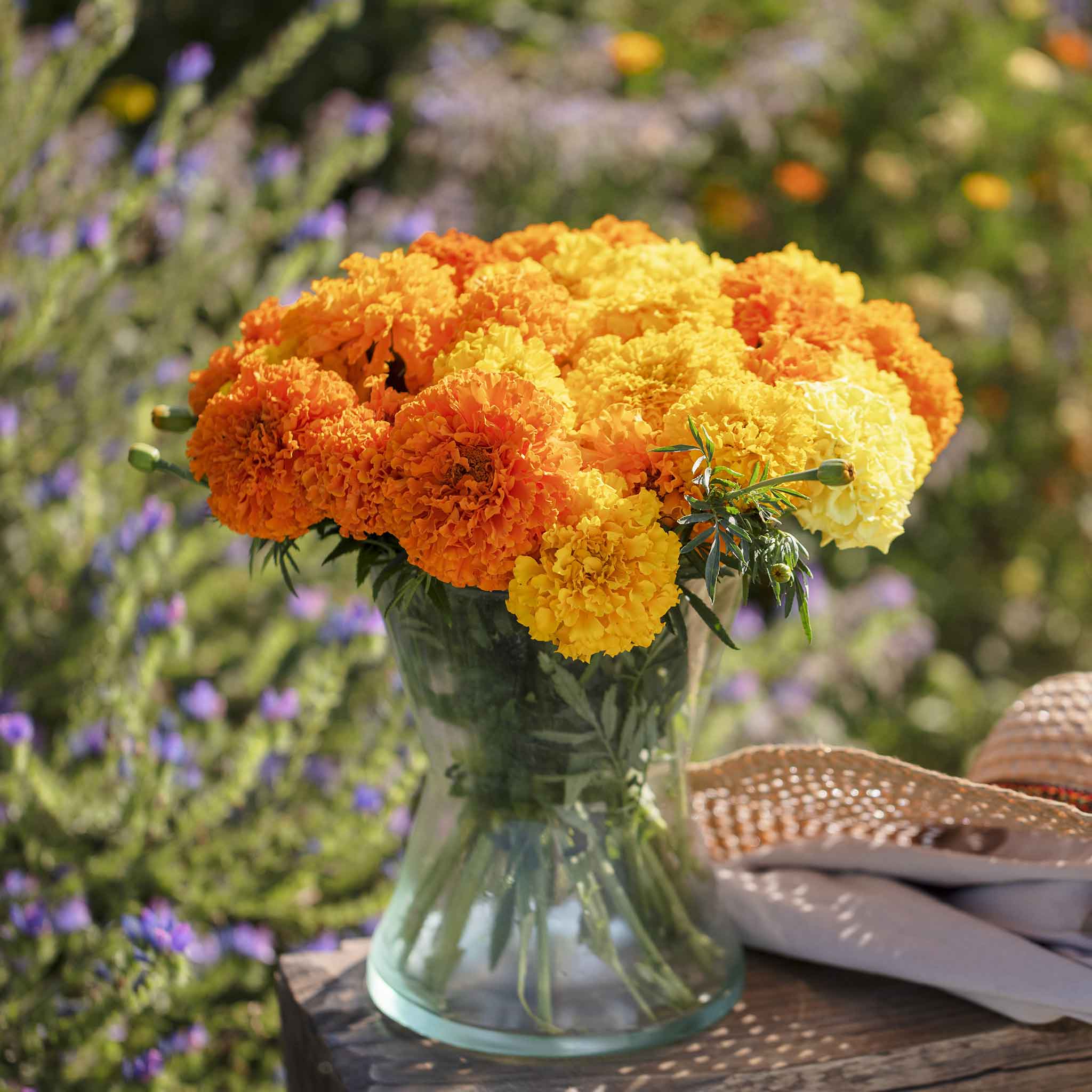 A close-up shot of a vibrant crackerjack mix marigold flower with ruffled petals in a glass vase.