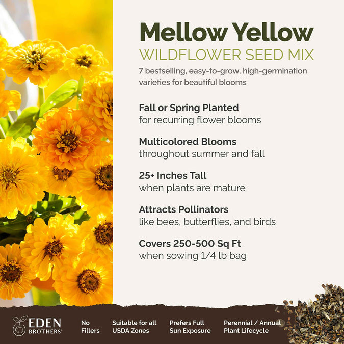 mellow yellow overview