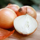 Onion Seeds (Long Day) - Yellow Sweet Spanish