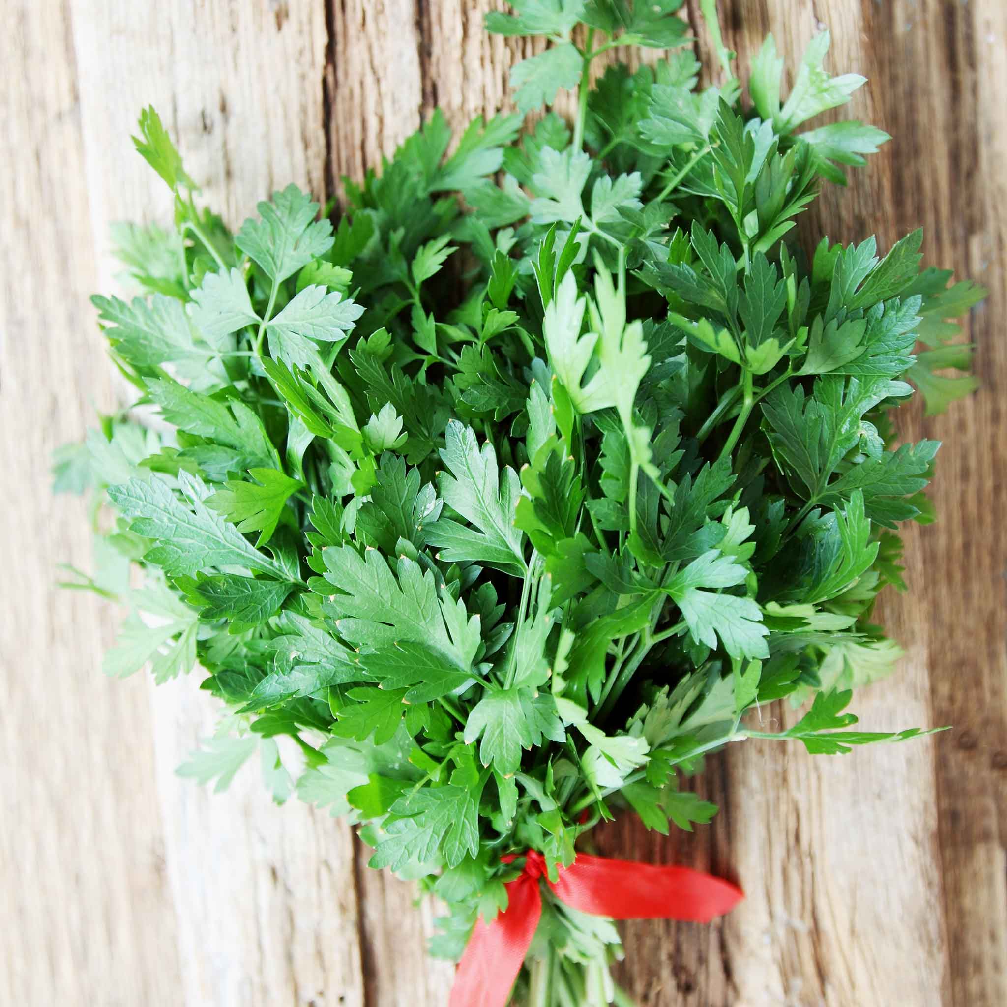 A close-up of a bunch of fresh, vibrant green Italian parsley with slender stems and flat leaves.