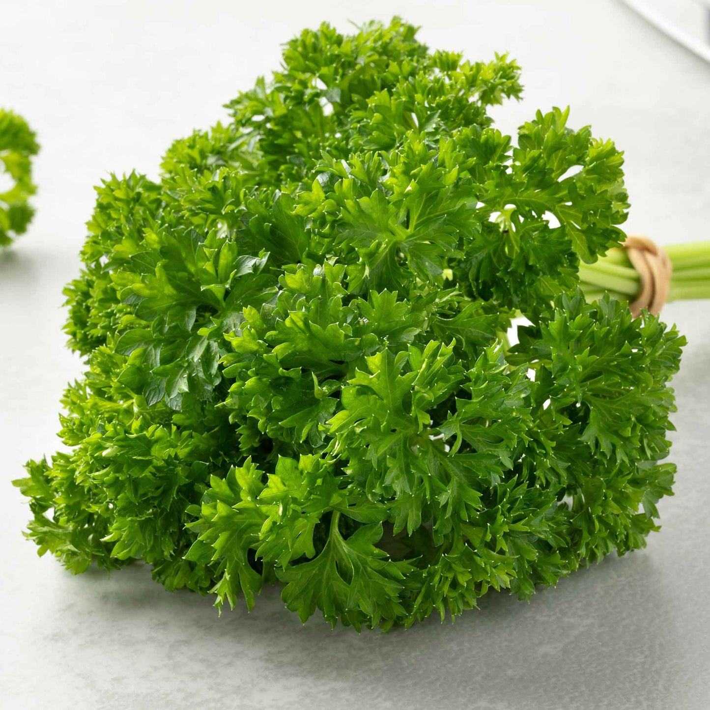 A close-up of cut paramount green parsley stems showing its textured leaves.