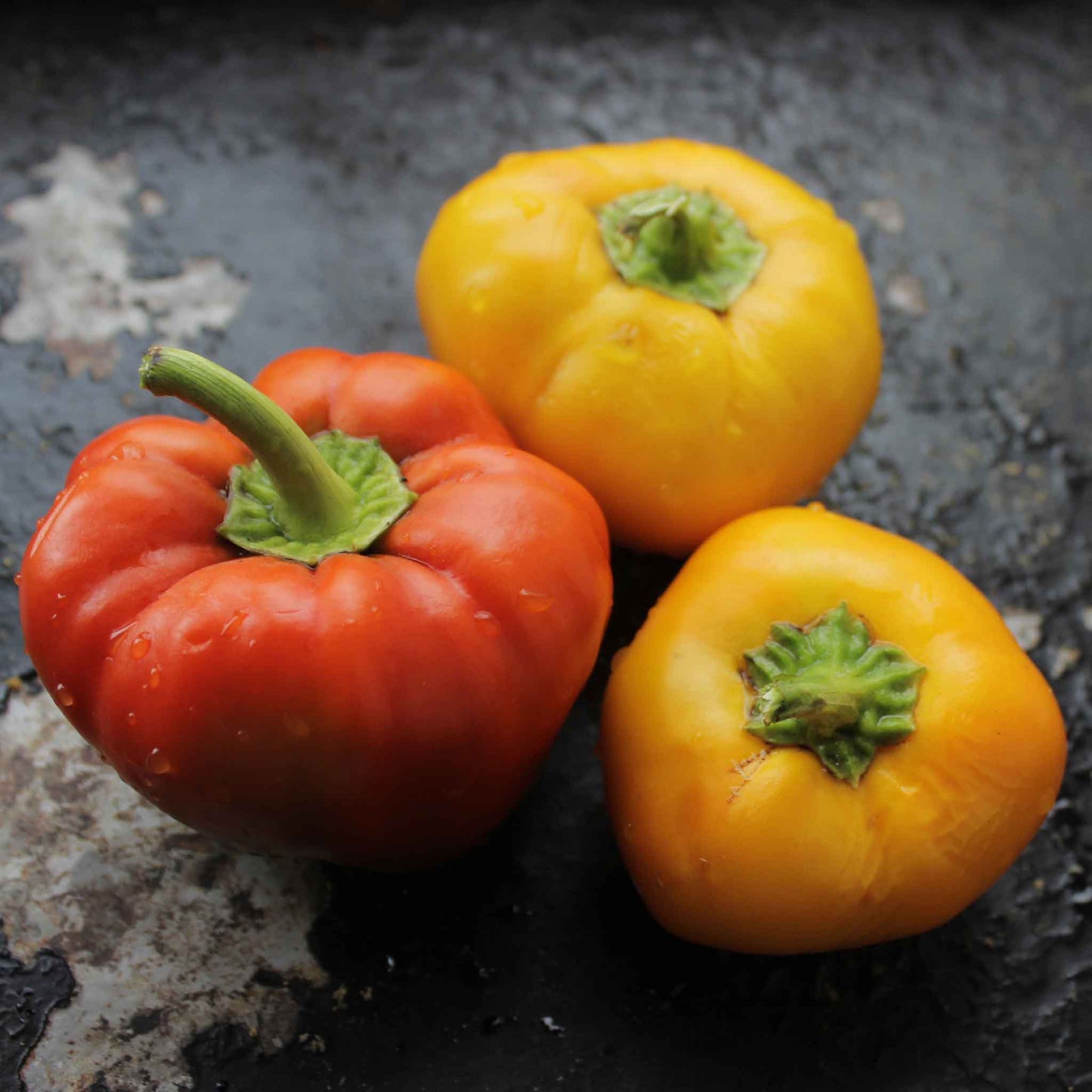 Vibrant multicolor alma paprika peppers, showcasing its smooth skin and round shape.