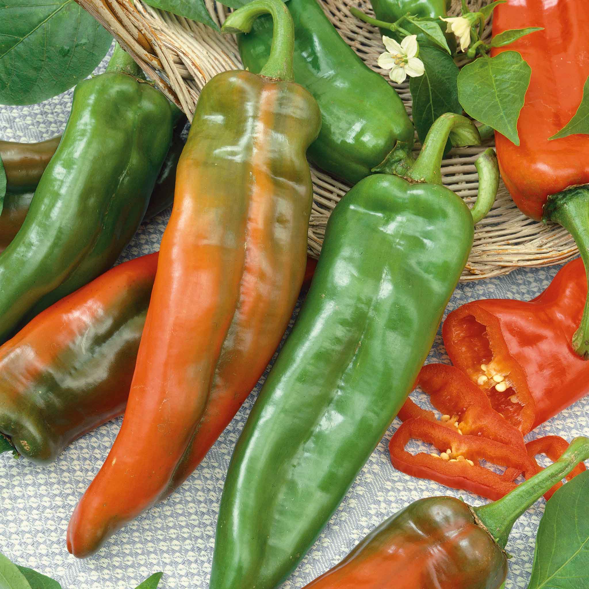 Close-up of a long, Anaheim chili peppers laid on top of other peppers.