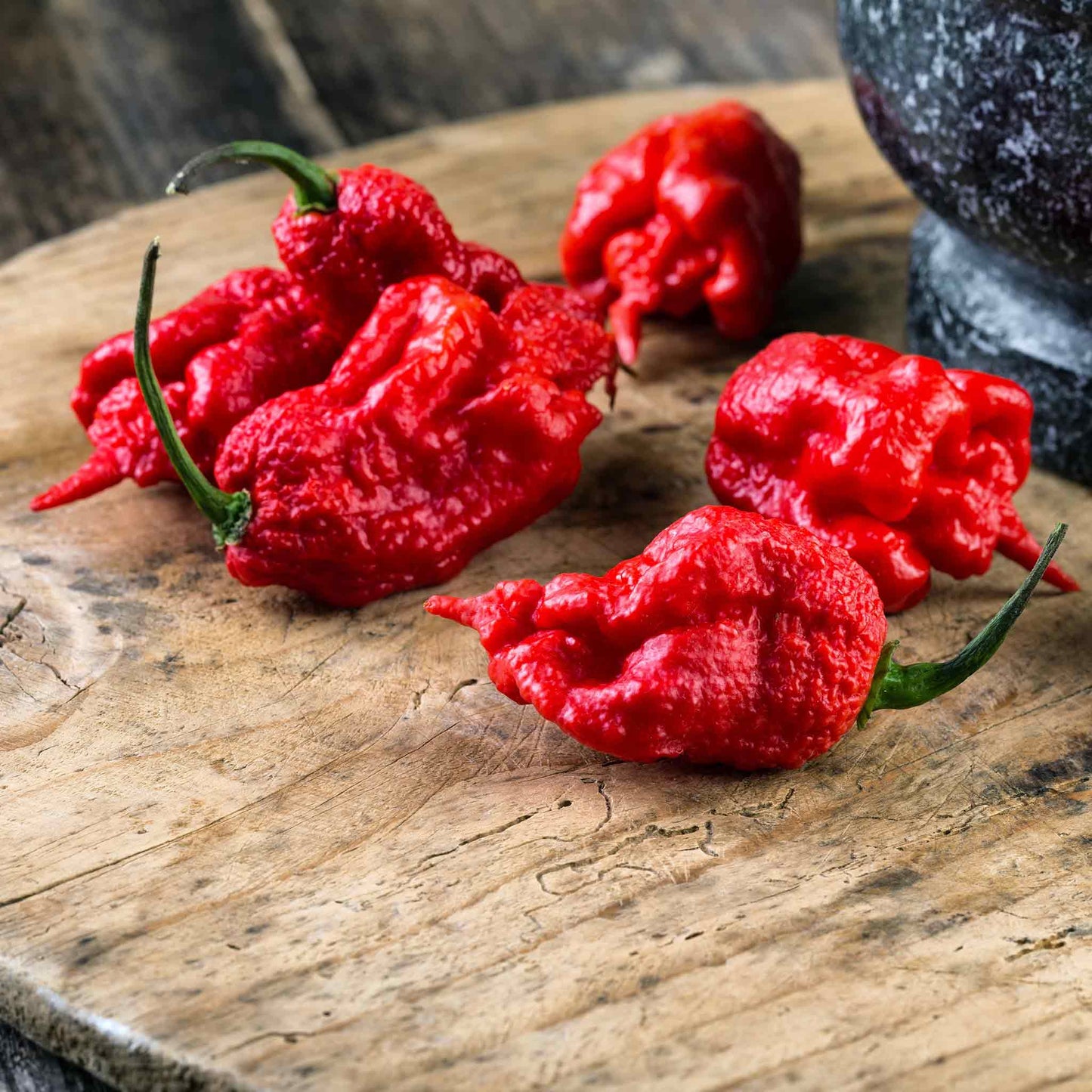 A vivid red Carolina Reaper pepper, known for its extreme heat, sits on a dark surface.