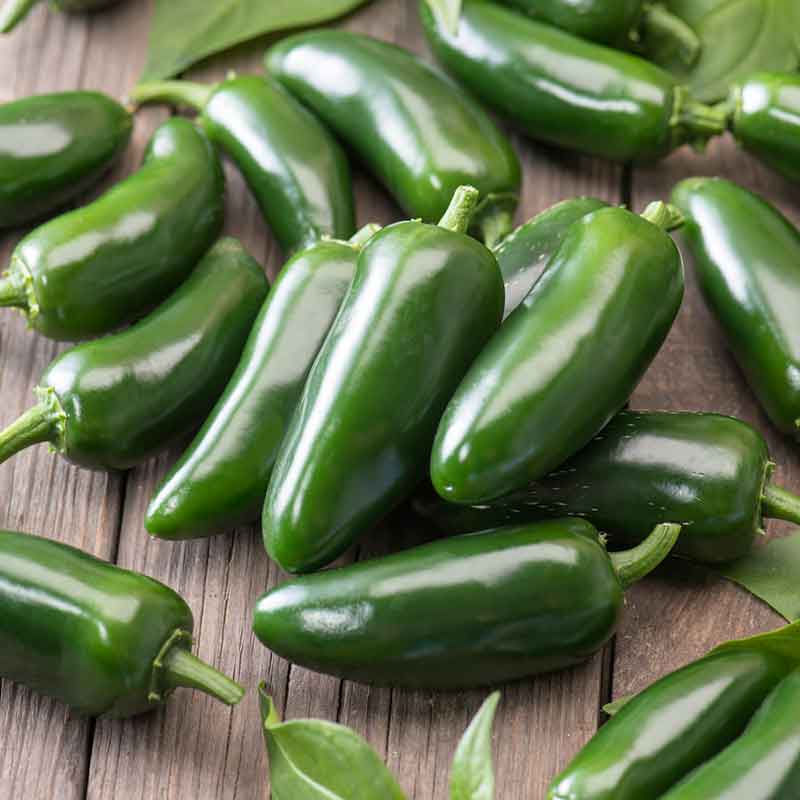 Vibrant, green Jalapeno Early peppers piled on a wooden surface. | copyright: Floramedia UK Ltd