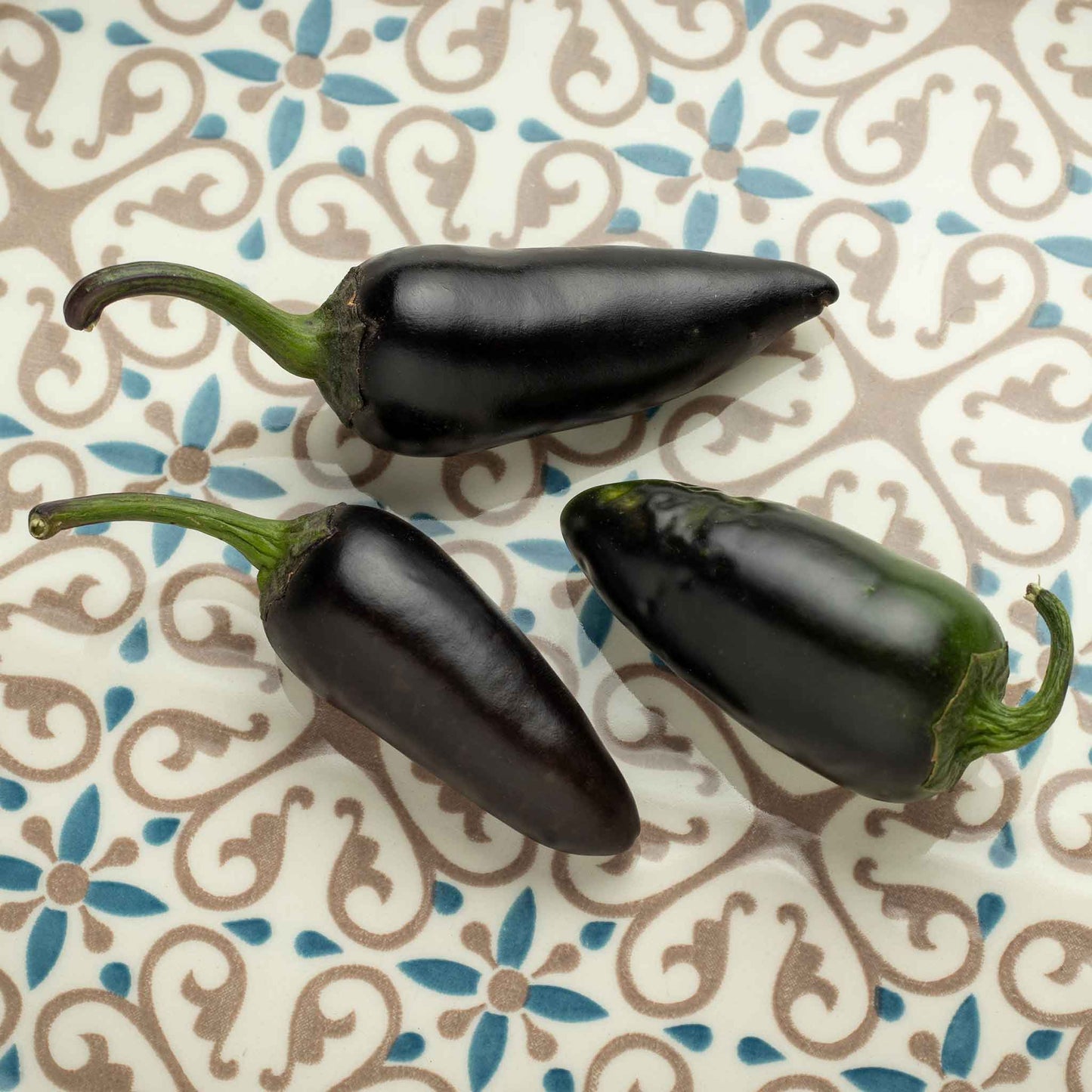 Three dark Jalapeno Purple peppers with deep purple skin and green stems on a muted background.