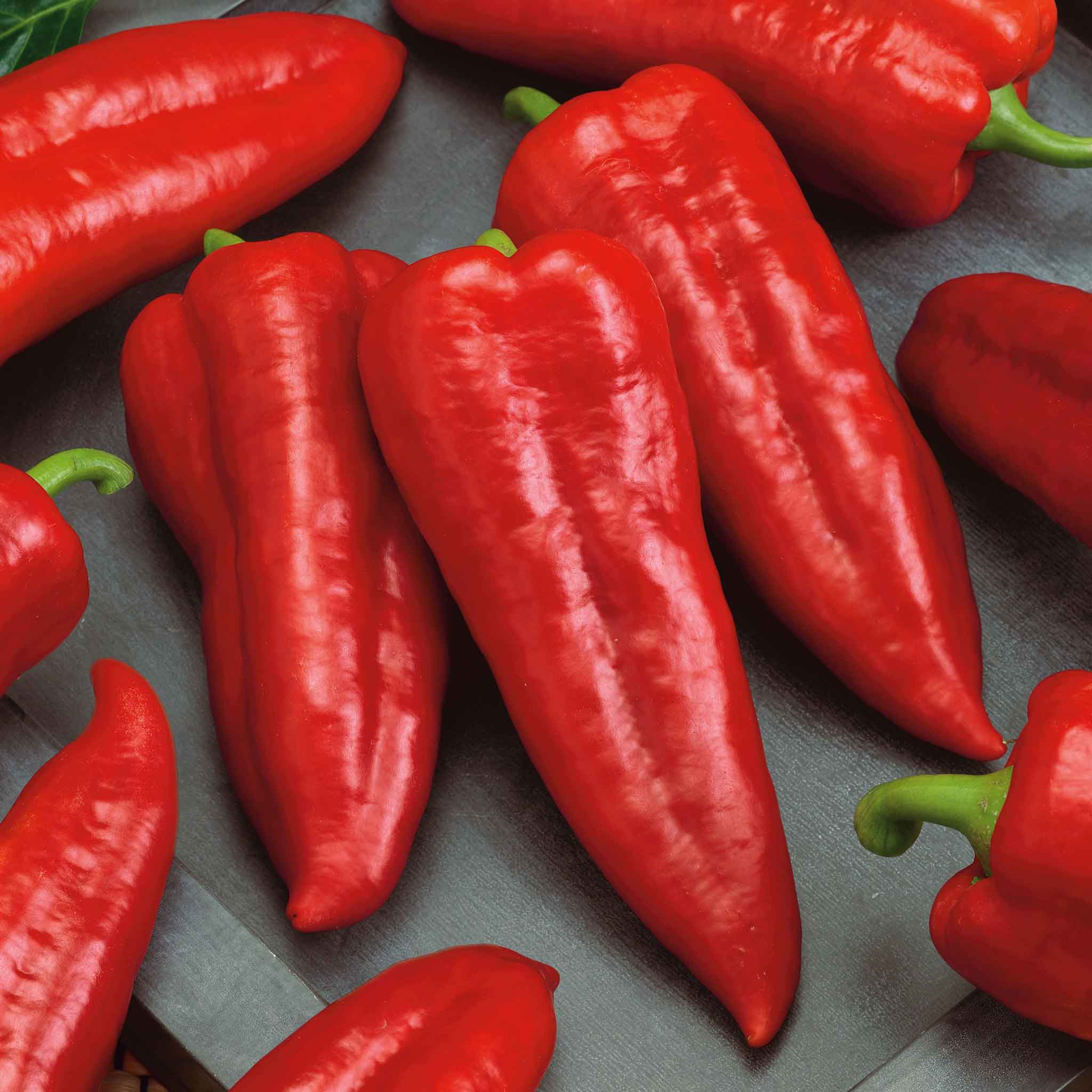 Vibrant red Marconi peppers, elongated and glossy, sits on a dark background.