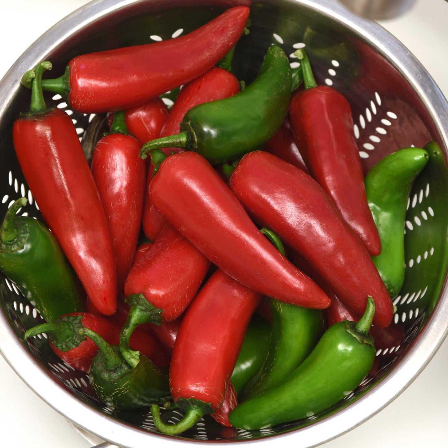 Red and green Pot-a-Peno peppers with a tapered end, showcasing a smooth, glossy skin and vibrant colors.