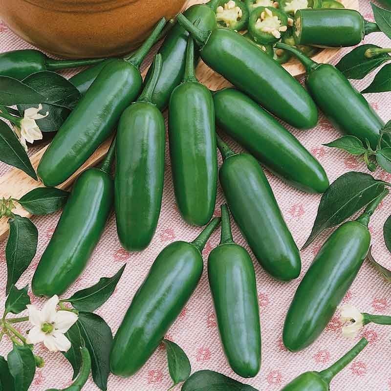 Vibrant, green serrano peppers piled together on a pale pink background.