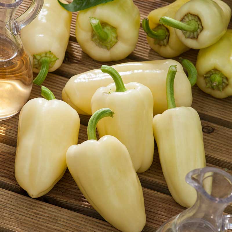 Several White Bell peppers with a green stems, slightly angled, against a dark background. | copyright: Floramedia UK Ltd