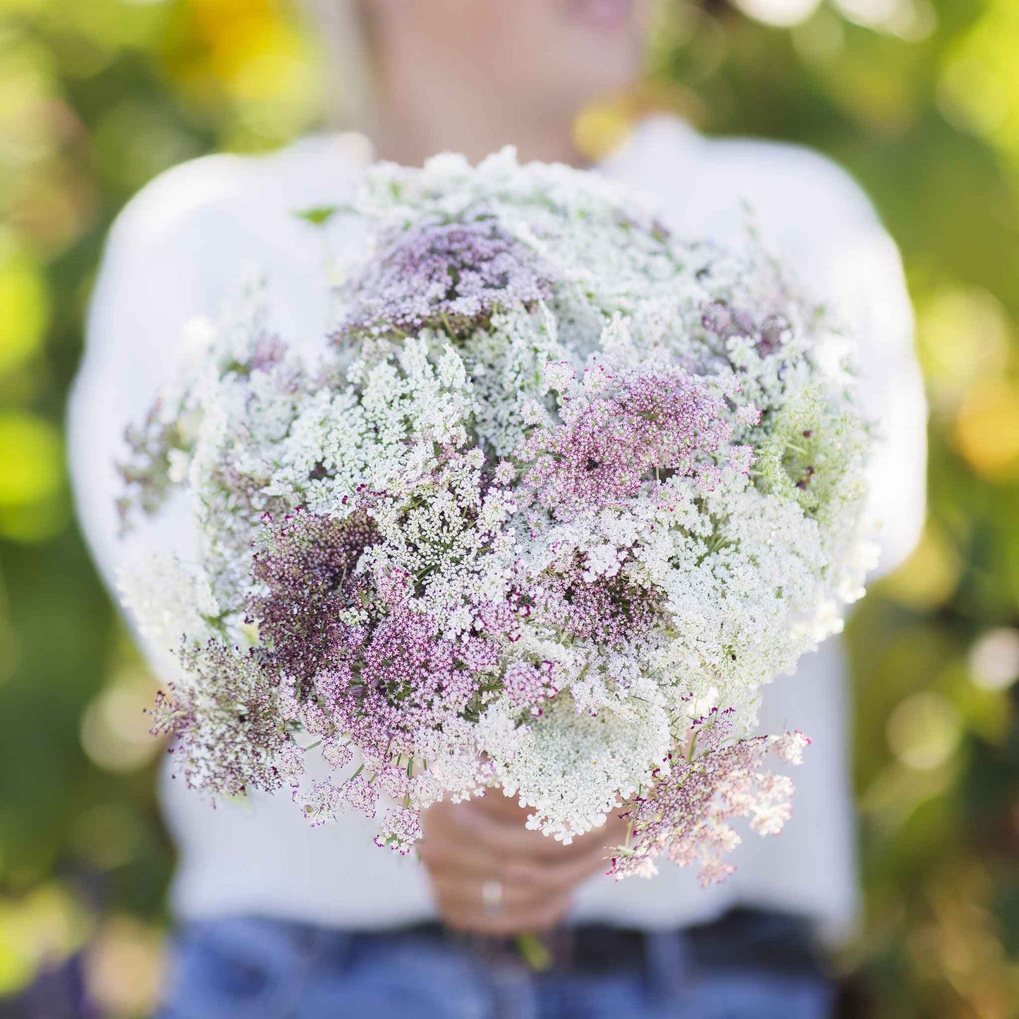 queen anne's lace chocolate flower