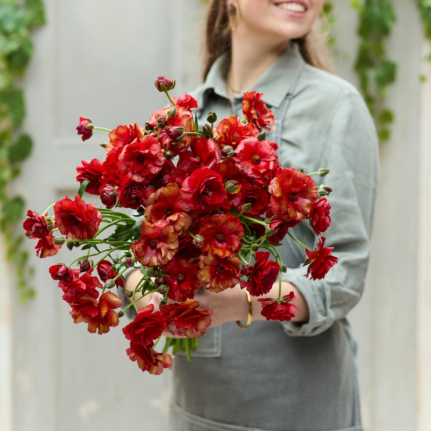 butterfly ranunculus hades