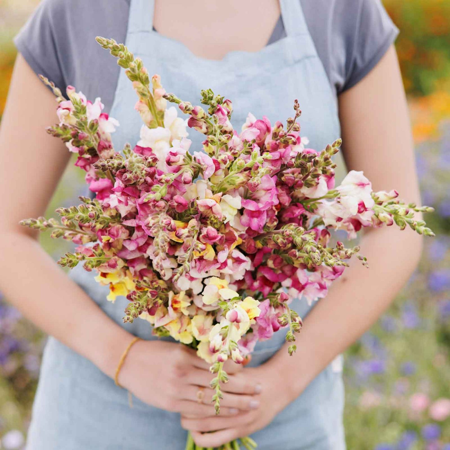 Person holding a bouquet of colorful brighton rock snapdragon flowers in a field