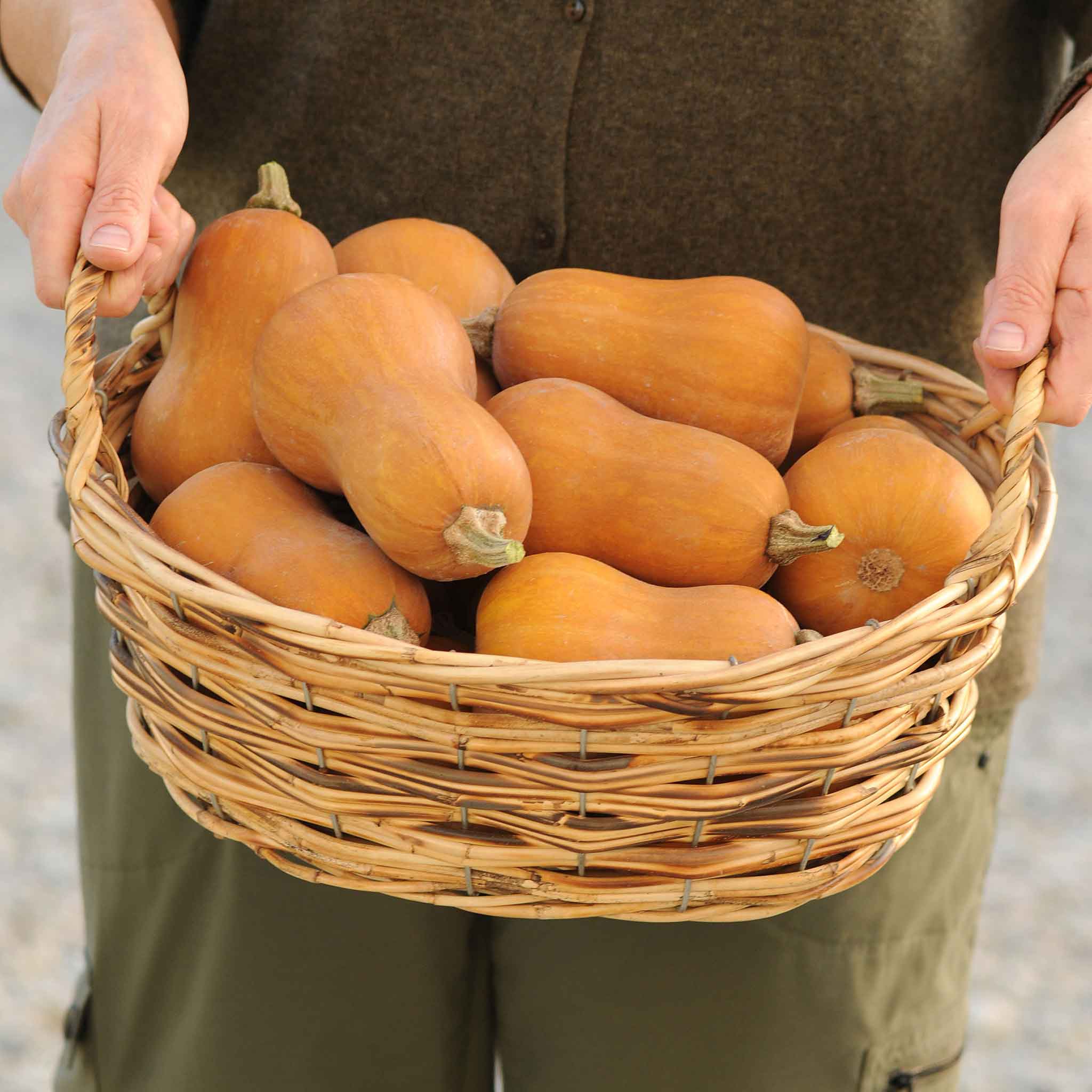 A basket full of Butterbaby squash showcasing its orange skin.