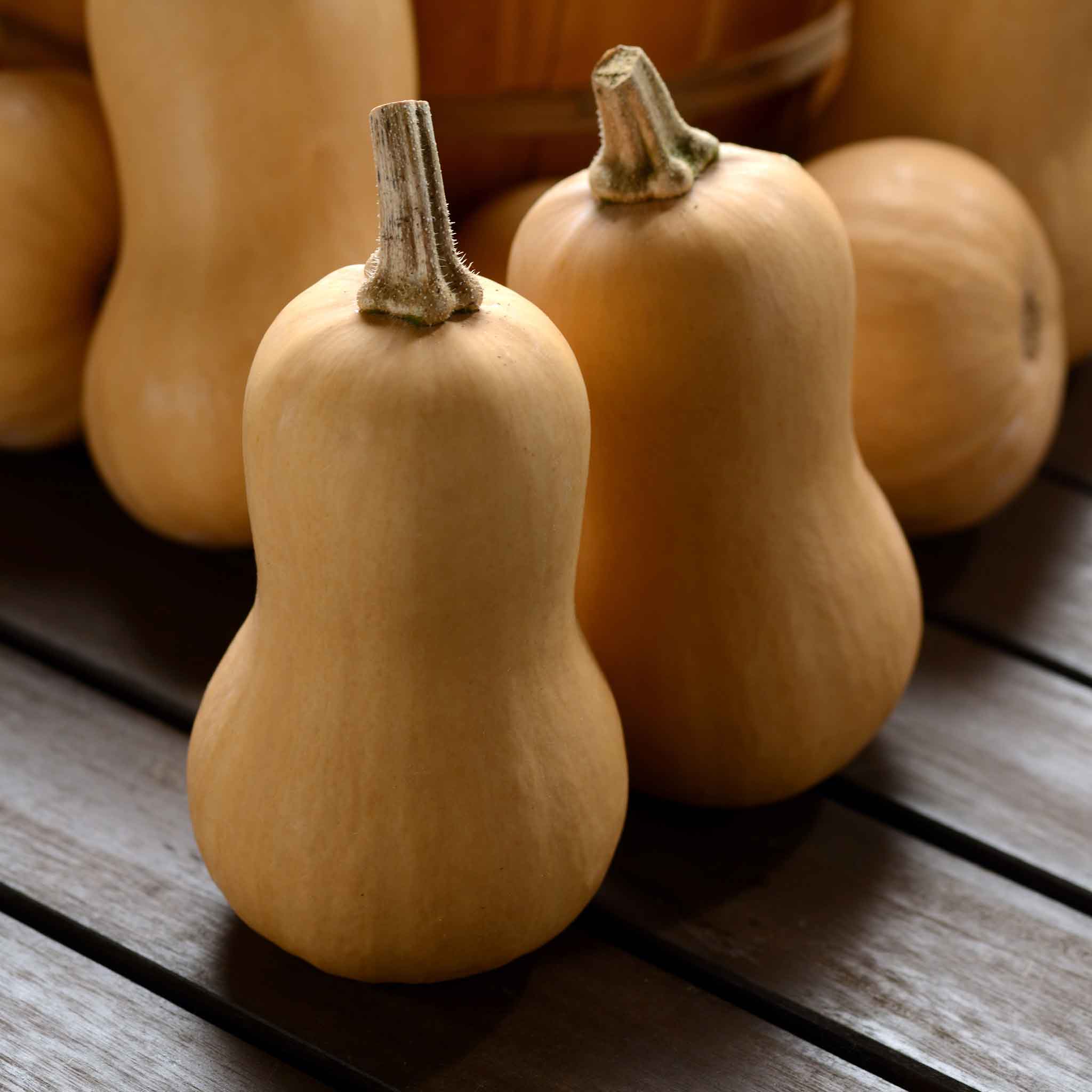 Orange-yellow Butterbaby squash sits on a dark surface, with a blurred background.