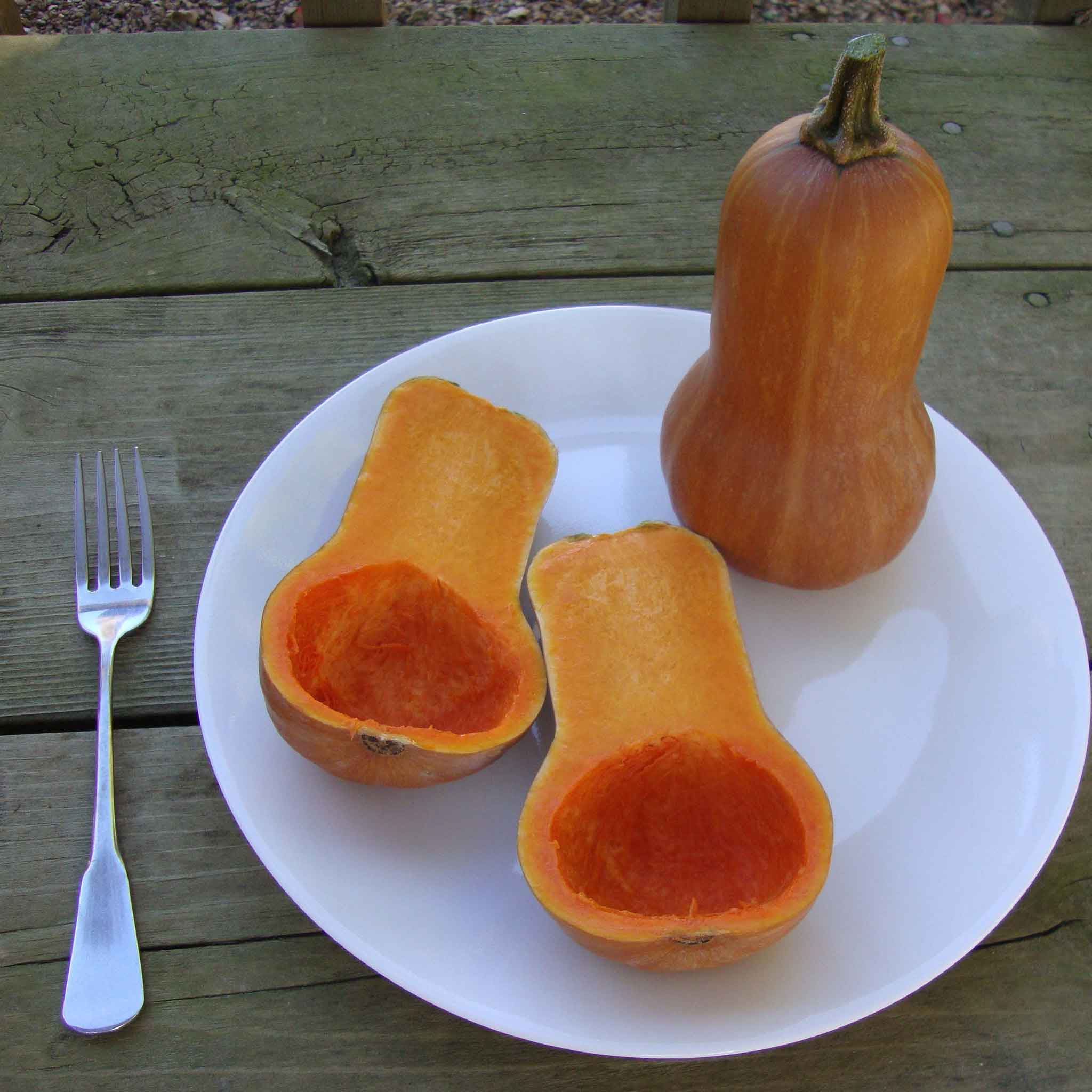 A whole Butterbaby squashed on a plate next to sliced squash.