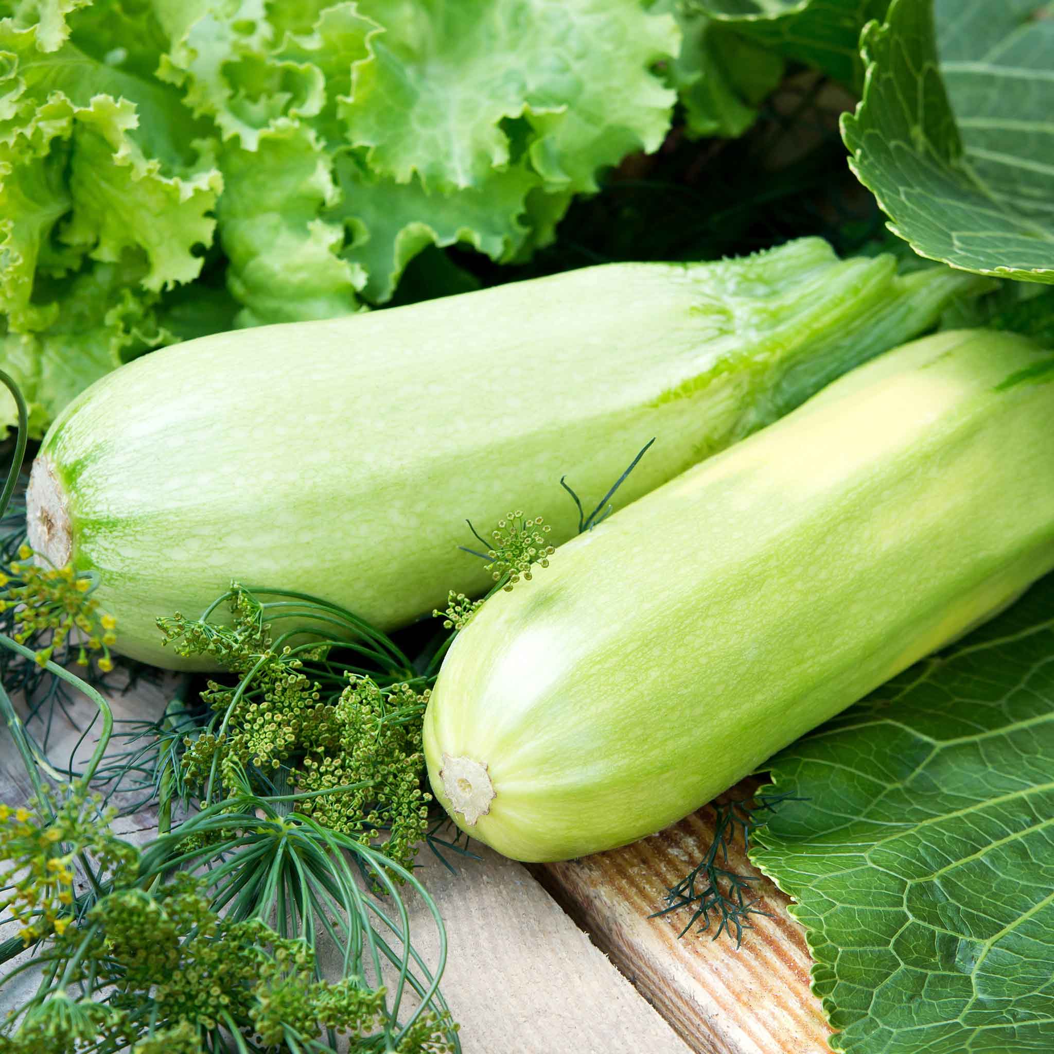A Lungo Bianco Cylindrical squash with faint ridges, sitting on a wooden surface with a shallow depth of field.