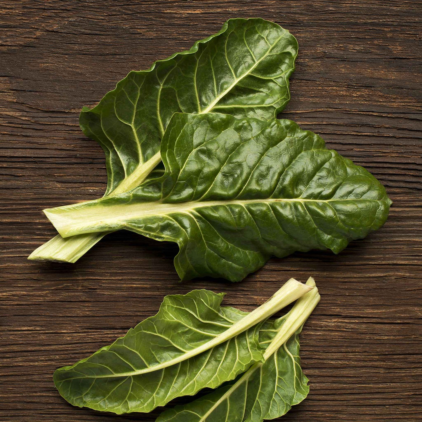 Lush green Perpetual Spinach Swiss chard leaves with a slight sheen, hinting at freshness.