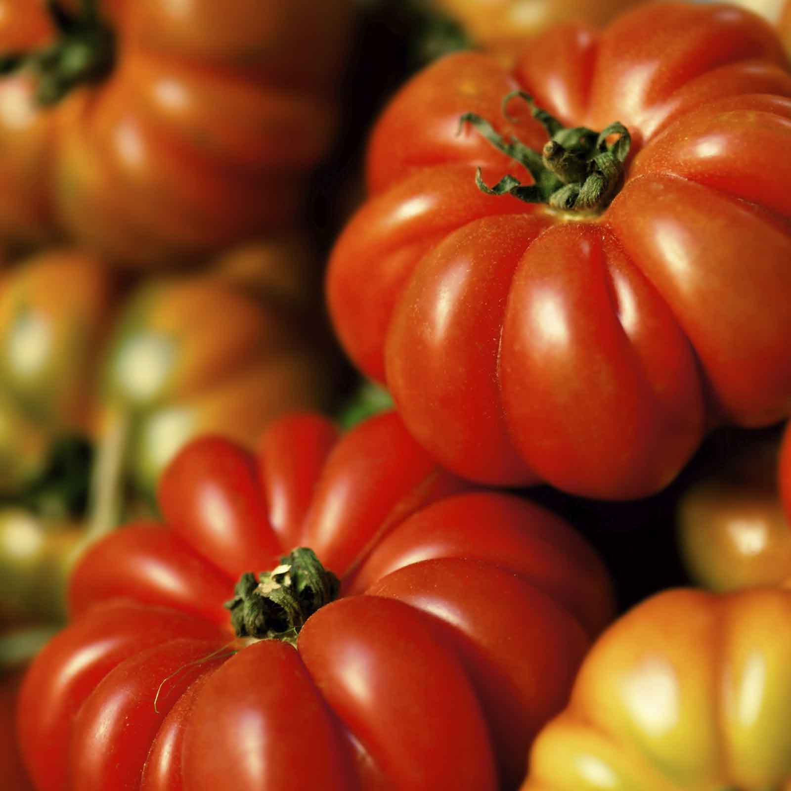 A pile of ripe, red Costoluto Genovese tomatoes with distinct ribs, ready for harvest.