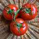 Tomato Seeds - Floradade