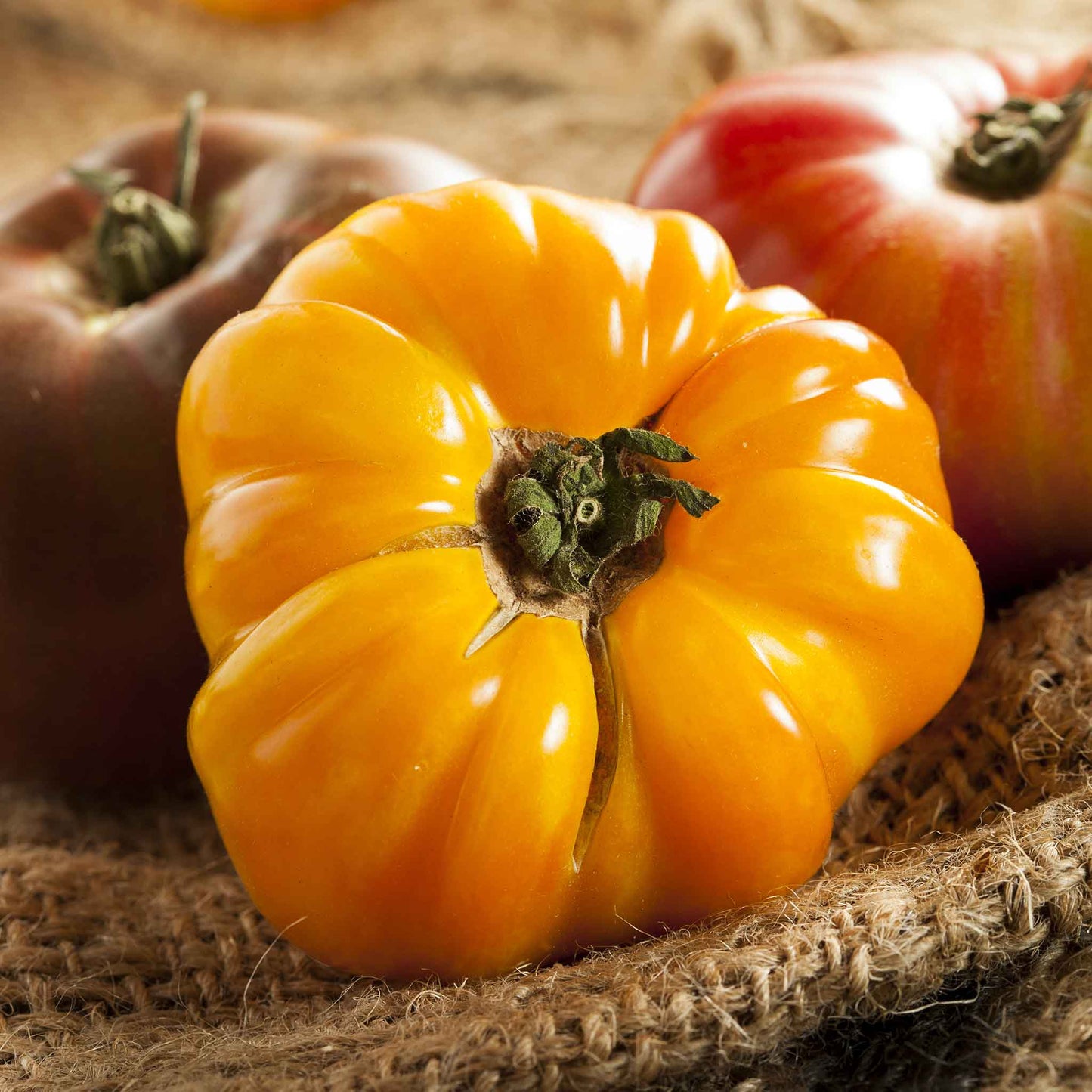 A close-up of a vibrant orange Amana tomato, with other tomatoes in the background on a burlap sack.